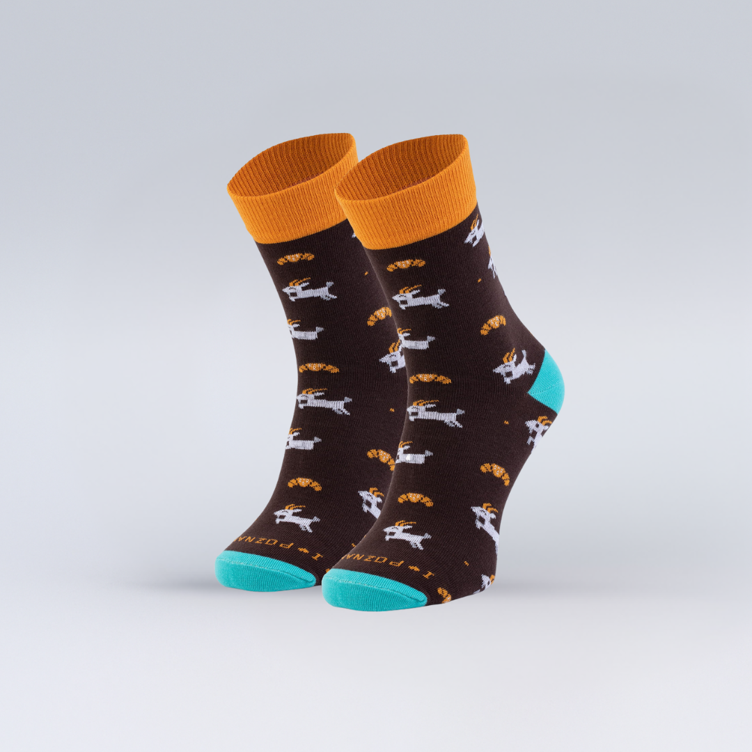 Skarpetki Symbole Poznania rozm. 42-46